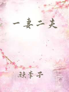 一妻二夫