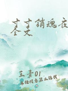 寸寸销魂夜春光全文