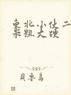 东北小伙二十厘米粗大硬