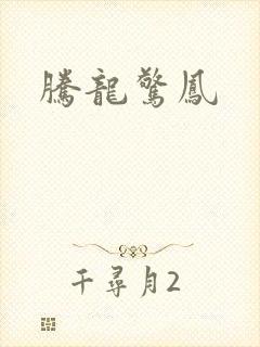 腾龙惊凤