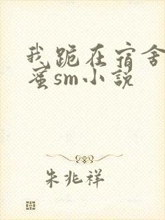 我跪在宿舍被闺蜜sm小说