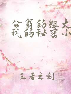 公翁的粗大放进我的秘密小说