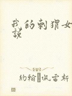 我的刺猬女孩小说