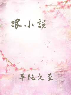眼小说