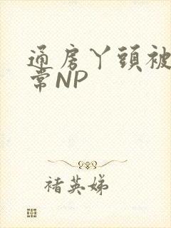 通房丫头被肉日常NP