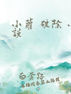小萝 破除 小说