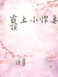 霸上小悍妻 小说