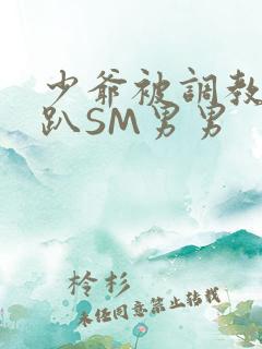 少爷被调教室跪趴SM男男