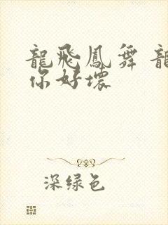 龙飞凤舞 龙王你好坏