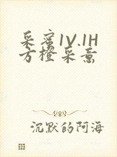 采蜜1V.1H方橙采意