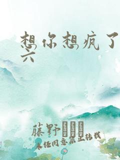 想你想疯了 奚六