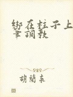 绑在柱子上用毛笔调教