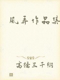 风弄作品集下载
