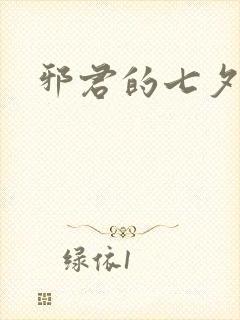 邪君的七夕皇妃