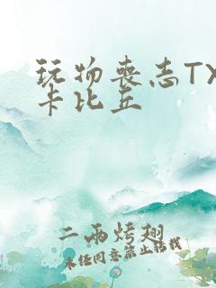 玩物丧志TXT卡比丘