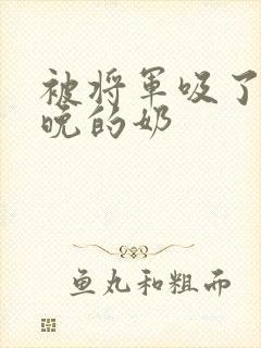 被将军吸了一整晚的奶