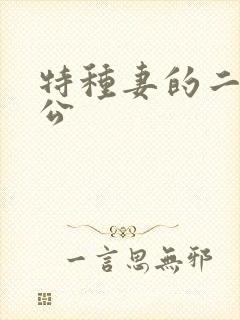 特种妻的二手老公