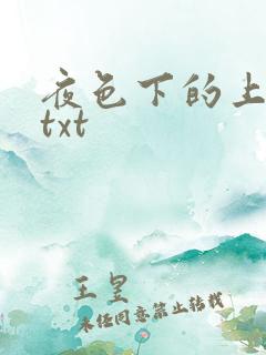 夜色下的上海滩txt