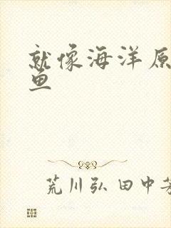 就像海洋原谅了鱼