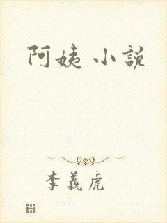 阿姨 小说