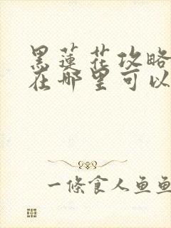 黑莲花攻略手册在哪里可以免费阅读