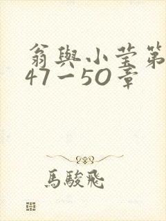 翁与小莹第十部47一5O章