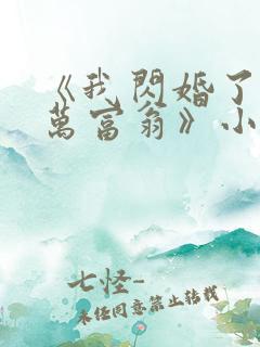 《我闪婚了个亿万富翁》小说