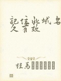 记住此域名记永久有效