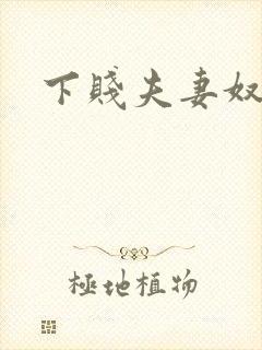 下贱夫妻奴