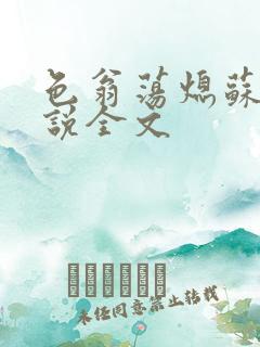 色翁荡熄苏钥小说全文