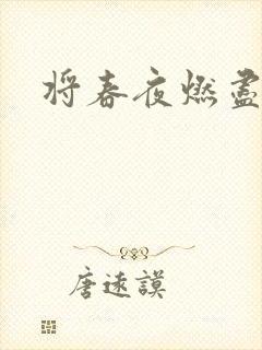 将春夜燃尽
