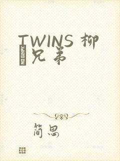 TWINS 柳澤兄弟