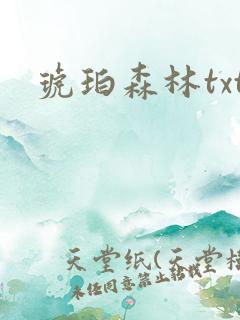 琥珀森林txt