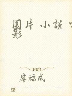 图片 小说 电影