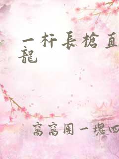 一杆长枪直捣黄龙