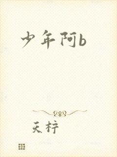 少年阿b