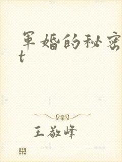 军婚的秘密txt