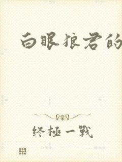 白眼狼君的小说