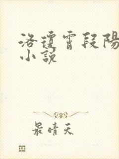 洛琼霄段阳澍的小说