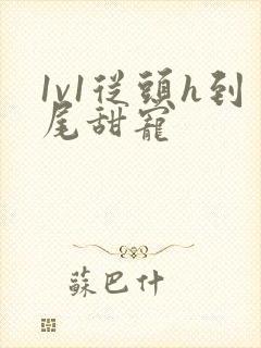 1v1从头h到尾甜宠