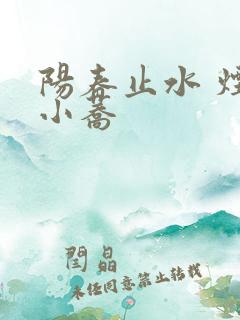 阳春止水 烟树小荞