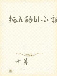 纯h的bl小说