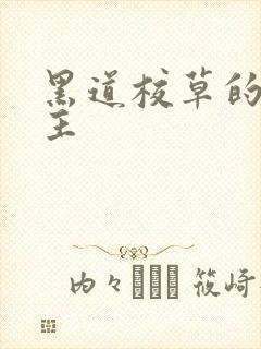 黑道校草的冷公主