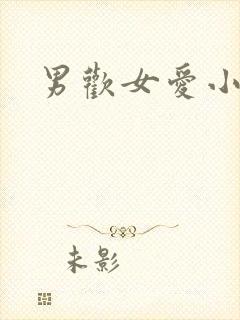 男欢女爱小说