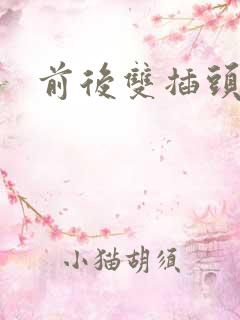 前后双插头互攻