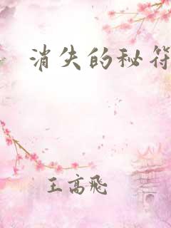 消失的秘符