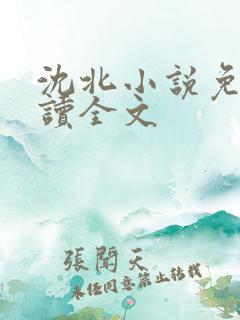 沈北小说免费阅读全文
