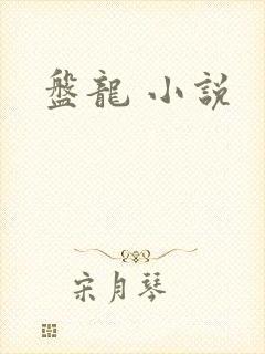 盘龙 小说