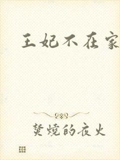 王妃不在家
