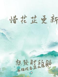 惜花芷更新时间